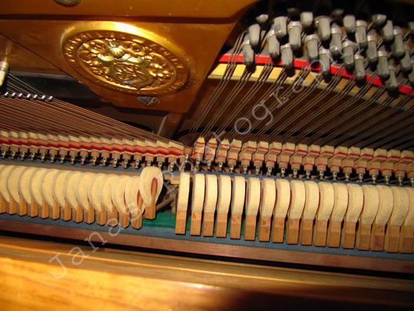 Altes Klavier Stimmen Reparatur Kosten Informationen Musik Instrument Piano