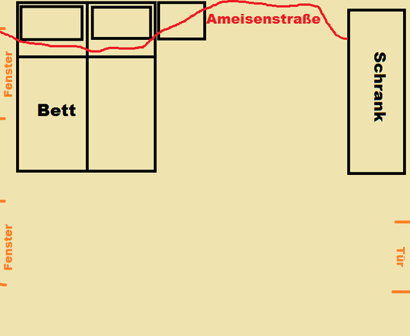 ameisenstrasse - (Tiere, Haushalt, Insekten)