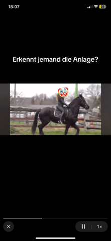 - (Recht, YouTube, Pferd)