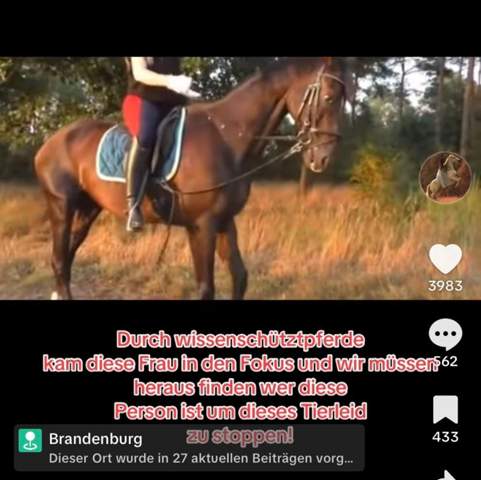 - (Recht, YouTube, Pferd)