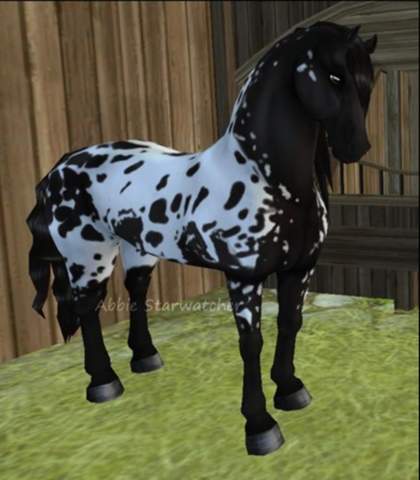An Alle Sso Spieler Pferdenamenvorschlage Computer Spiele Und Gaming Star Stable