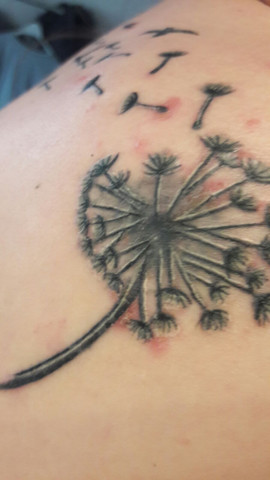Tattoostelle - (Tattoo, Tattoopflege)