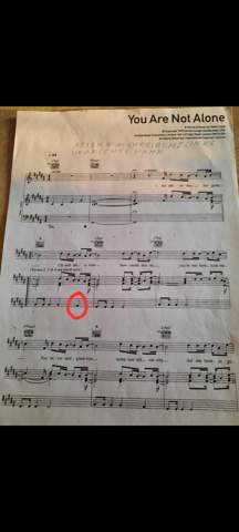 An die, die Klavier spielen können: Was ist das für eine Taste auf dem Klavier, das ich rot umkreist habe?