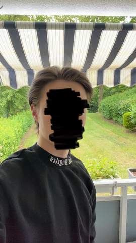Bild zum Beitrag