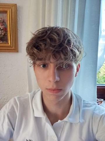 Bild zum Beitrag