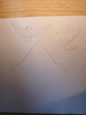 Bild zum Beitrag