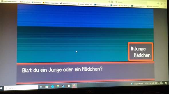Bild zum Beitrag