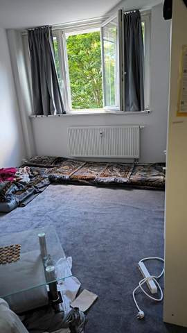 Bild zum Beitrag