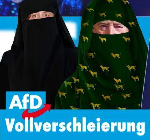 Bild zum Beitrag
