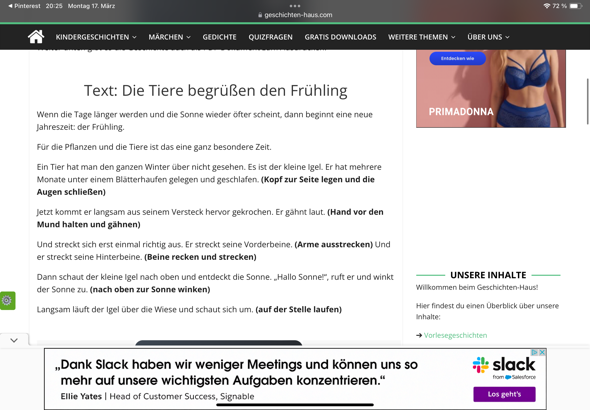 Bild zum Beitrag