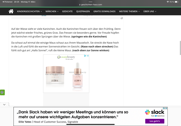 Bild zum Beitrag