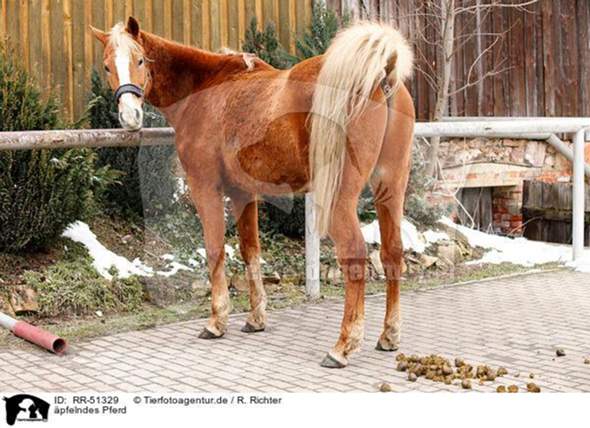 Bild zum Beitrag