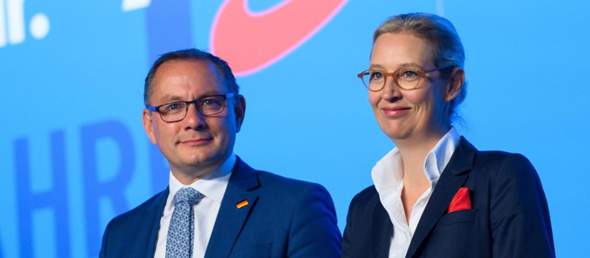 Bild zum Beitrag