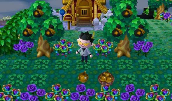 - (Animal-Crossing, animal crossing newleaf)