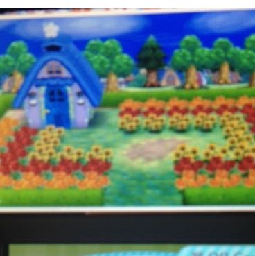 Animal Crossing New leaf Zaun ums ganze Haus? (Garten, Animal-Crossing