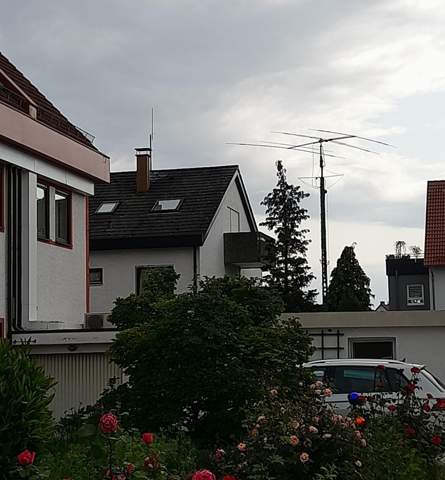 Bild zum Beitrag