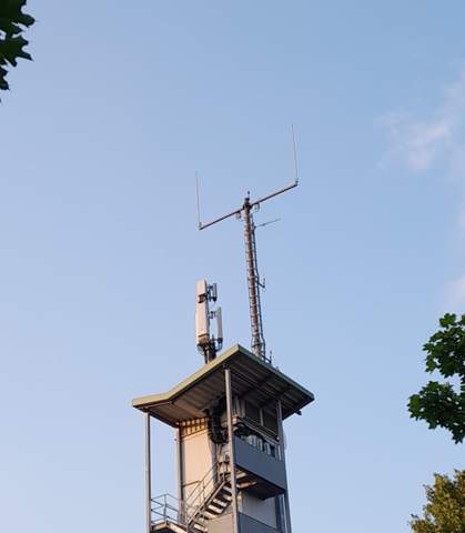 Bild zum Beitrag