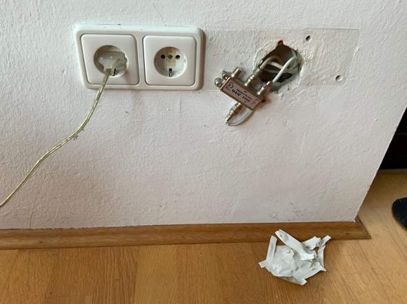 Bild zum Beitrag