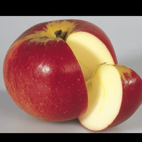 Apfel zeichnen?