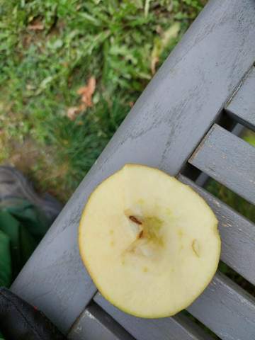 Bild zum Beitrag