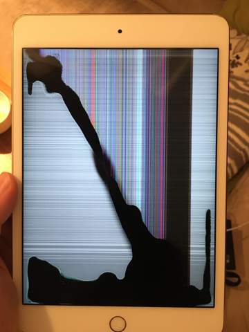 Apple iPad mini 4 Displayschaden? (Reparatur, Defektes Gerät, iFixit)
