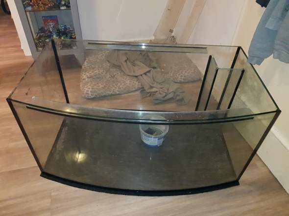 - (Aquarium, Aquaristik)
