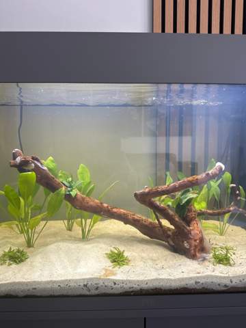 Bild zum Beitrag