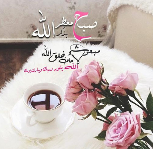 Arabische Deutsch Arabisch