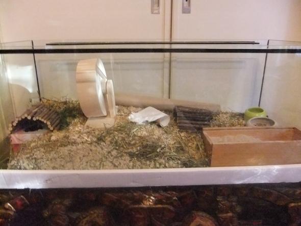Hamsteraquarium - (Aquarium, Hamster, Verbesserung)