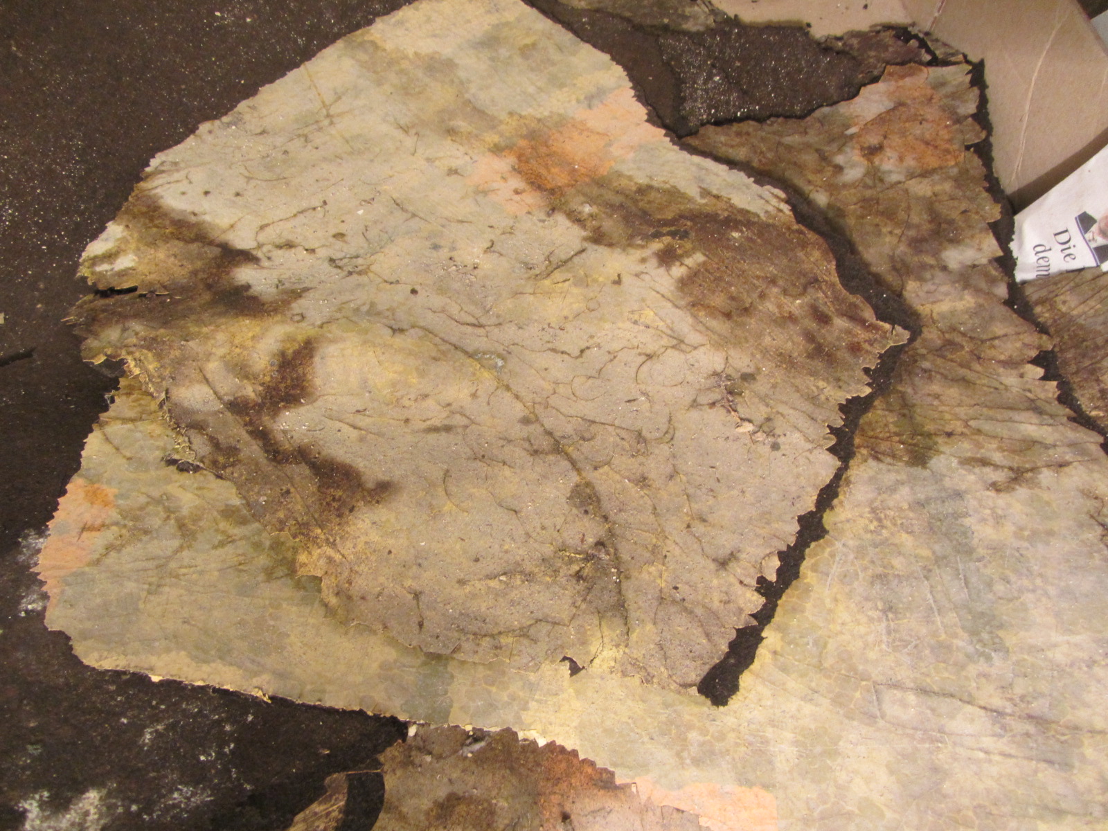 Asbest in Bodenbelag wie erkennen? Mit Fotos.