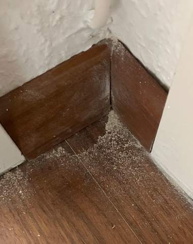 Asbest in den Wänden Wohnung um 1890?
