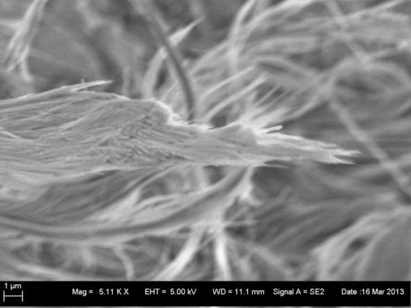 Asbest in PVC Bodenbelag? REM Aufnahmen und EDX (bauen, Mikroskopie