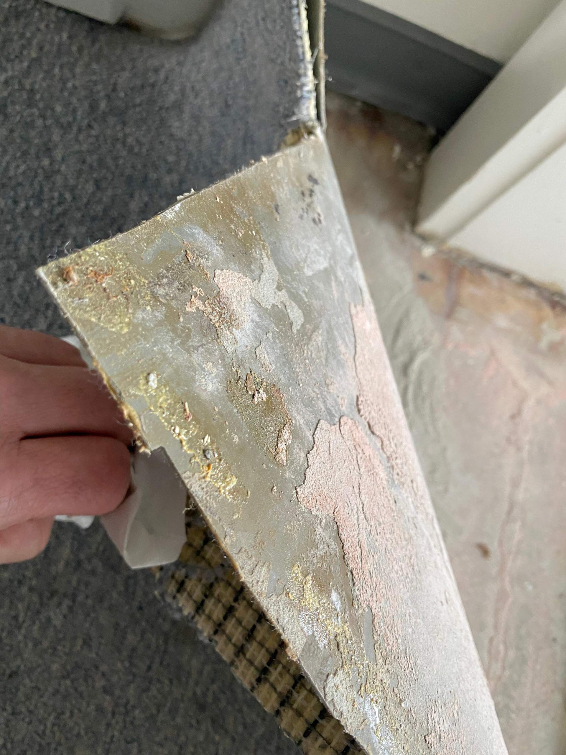 Asbest in PVC Bodenbelag? (Haus, Renovierung, renovieren)