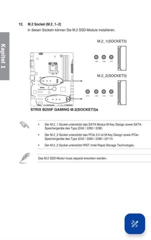 Asus Strix B250F M.2_1 SSD?