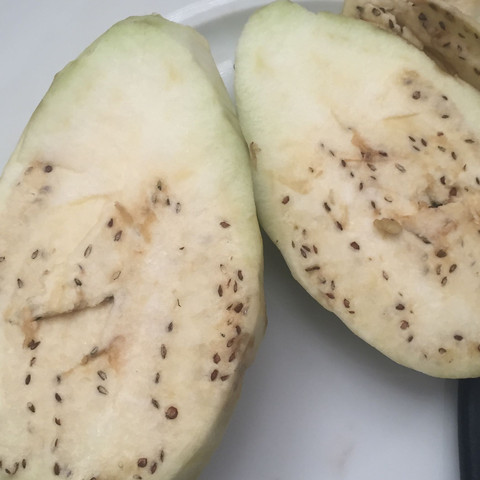 - (essen, Aubergine)