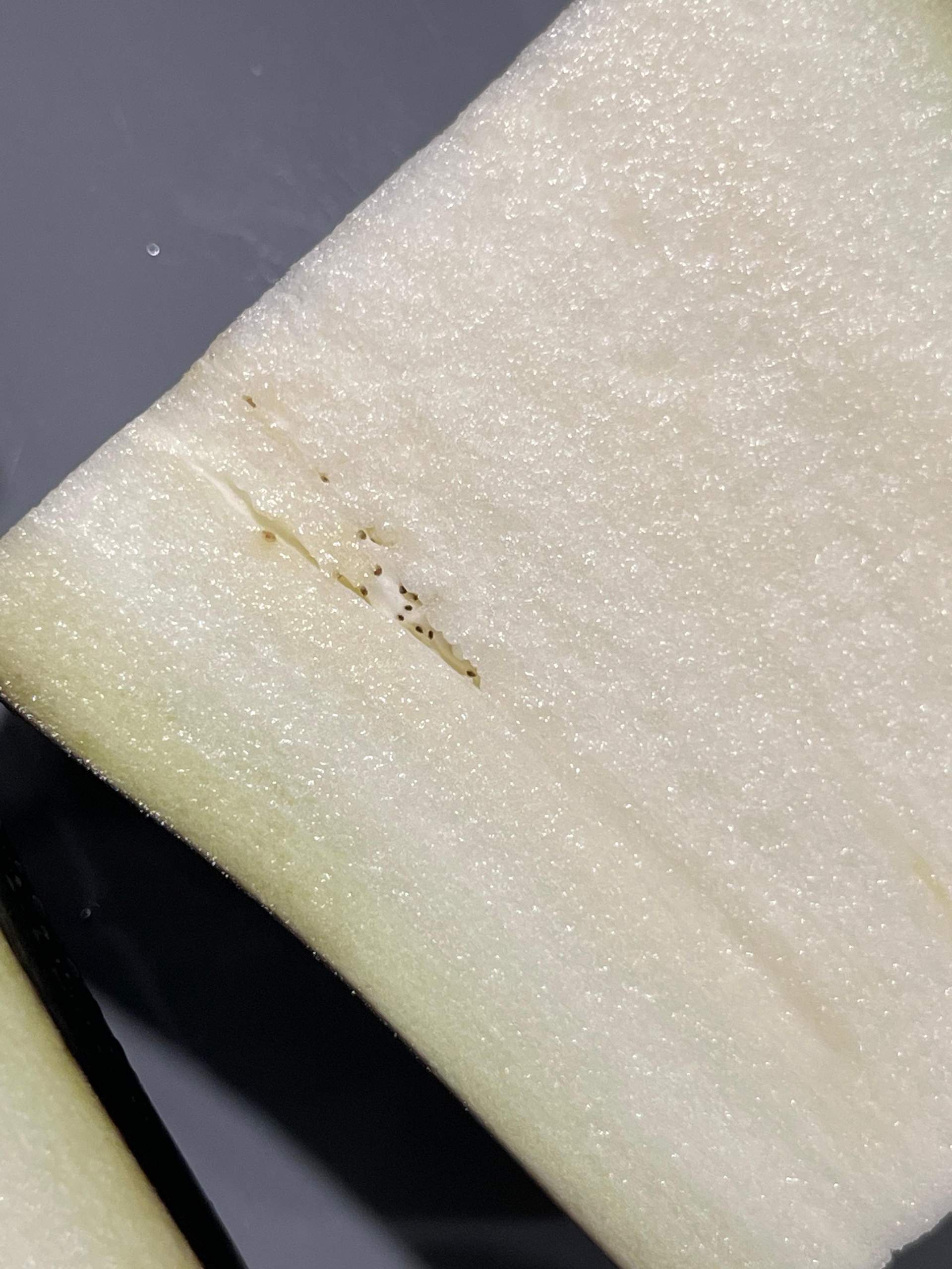 Aubergine schwarze punkte und Samen? (Pflanzen, Haltbarkeit, Gemüse)