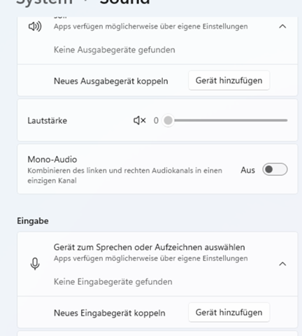 Audiogerät ist Nicht Installiert Wie behebe ich das Problem? (Treiber, Windows 11)