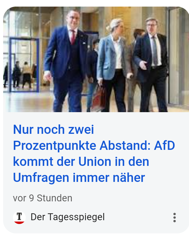 Auf dem Weg zur No 1: Ist die AFD nun eine Volkspartei? (Politik ...