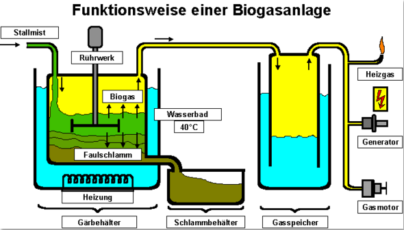 - (Freizeit, Erklärung, Aufbau)