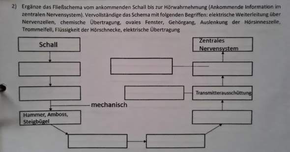 Bild zum Beitrag