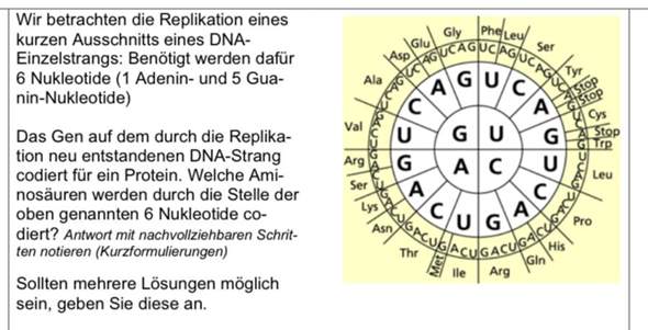 Aufgabe zur genetischen Sonne / Genetik?