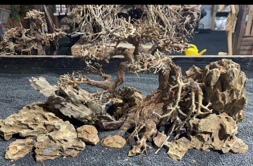 Aufsitzerpflanzen Idee Terrarium? (Pflanzen, Terraristik, Bepflanzung)