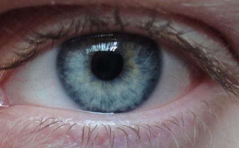 Augenfarbe Grau