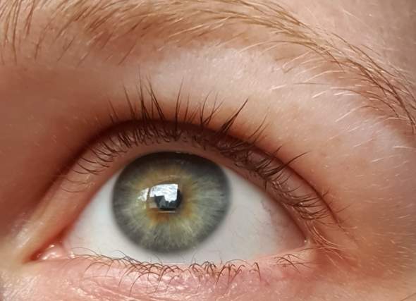 - (Körper, Augen, Farbe)