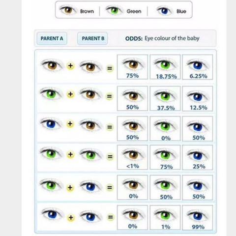 Quelle Google - (Augen, Farbe, Genetik)