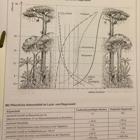 Abbildung  - (Biologie, Geografie, Pflanzen)