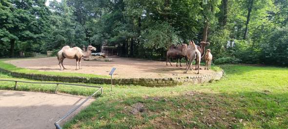 Bild zum Beitrag