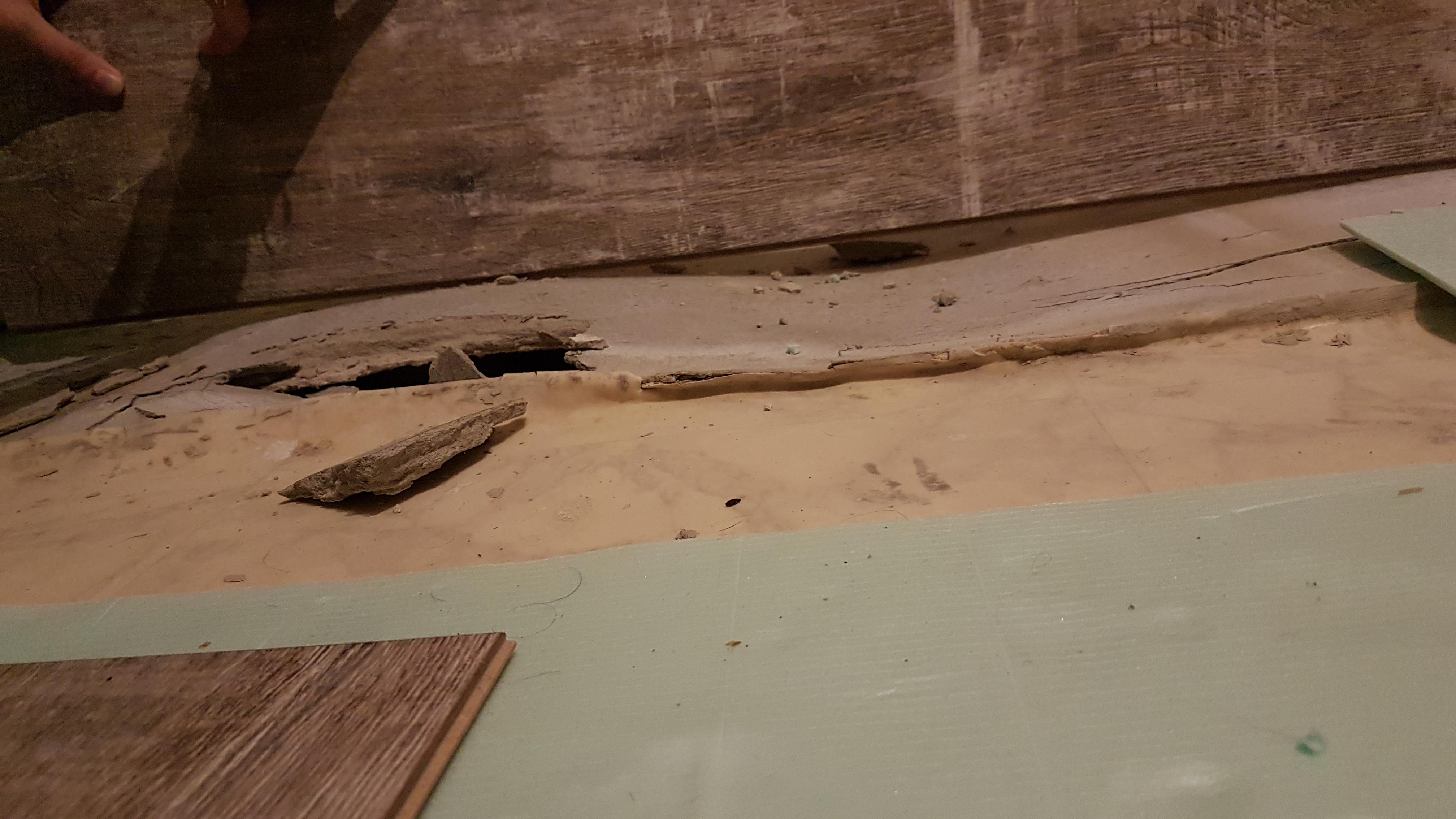 Ausgleichsmasse Hebt Sich Wieso Handwerk Bau Boden