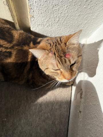 Bild zum Beitrag
