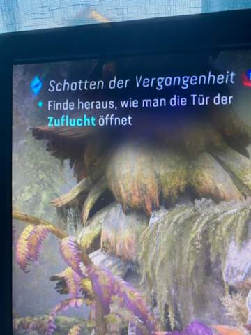 Bild zum Beitrag